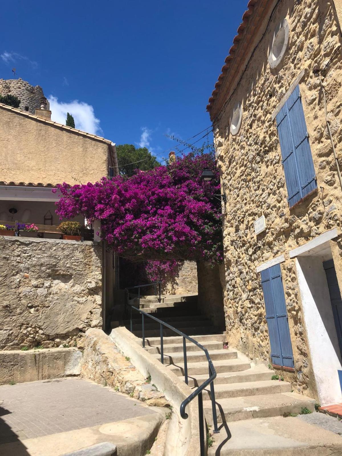 Maison Chalet 200 M De La Plage Climatisation Et Wifi Gruissan Extérieur photo